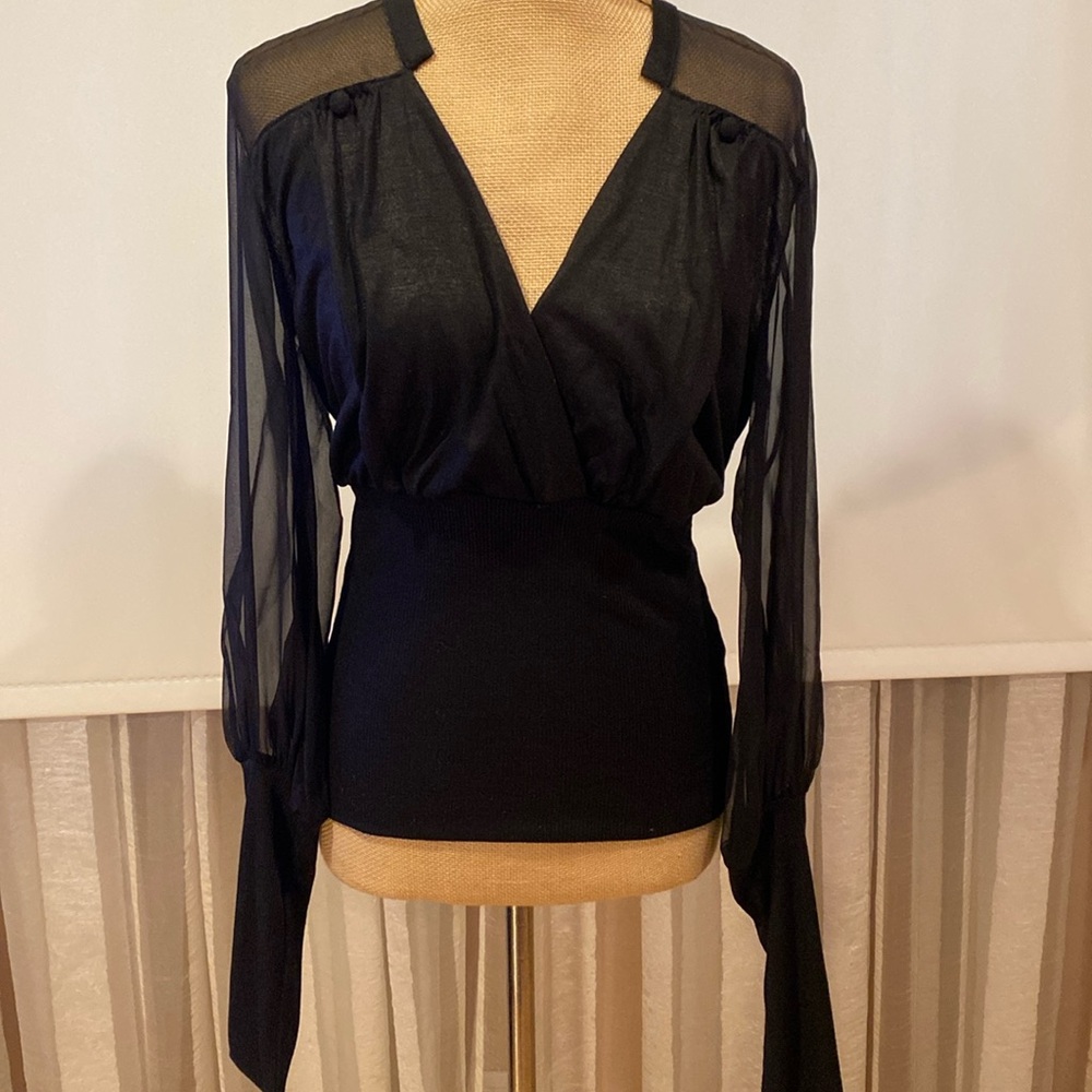 Robert Rodriguez gorgeous top, silk sheer sleeves, very elegant, size S